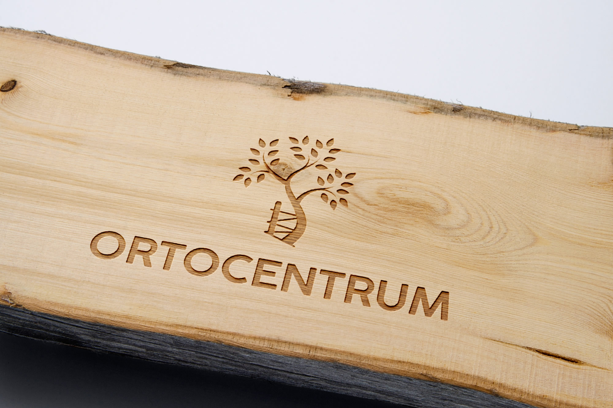 Ortocentrum MSK